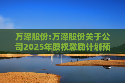 万泽股份:万泽股份关于公司2025年股权激励计划预留授予限制性股票登记完成的公告