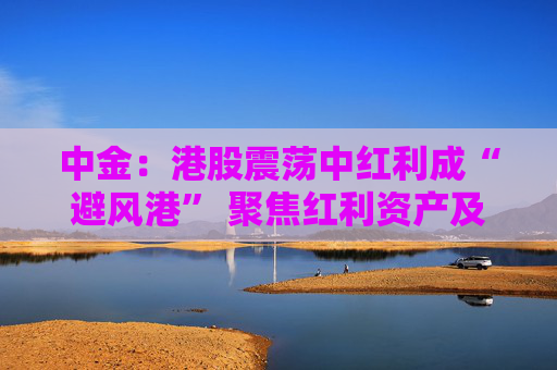 中金:港股震荡中红利成“避风港” 聚焦红利资产及三大结构机会
