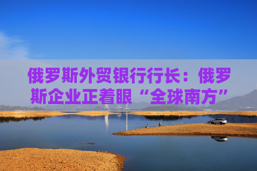 俄罗斯外贸银行行长：俄罗斯企业正着眼“全球南方”寻求扩张  第1张