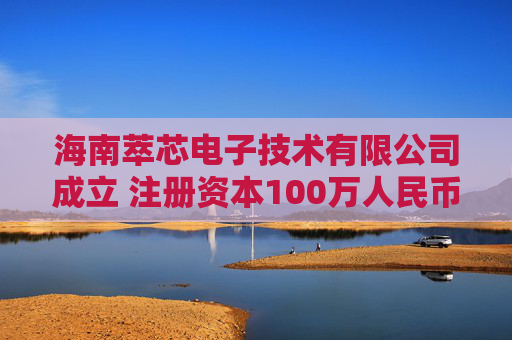 海南萃芯电子技术有限公司成立 注册资本100万人民币