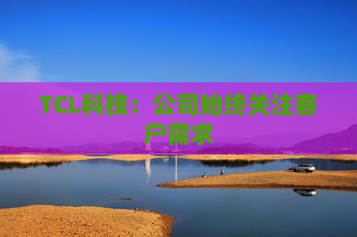 TCL科技:公司始终关注客户需求