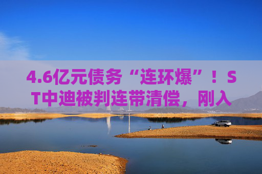 4.6亿元债务“连环爆”！ST中迪被判连带清偿，刚入主新东家迎艰难开局，核心资产恐将被强制拍卖