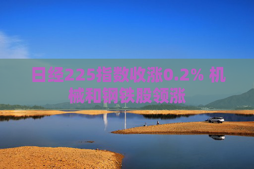 日经225指数收涨0.2% 机械和钢铁股领涨