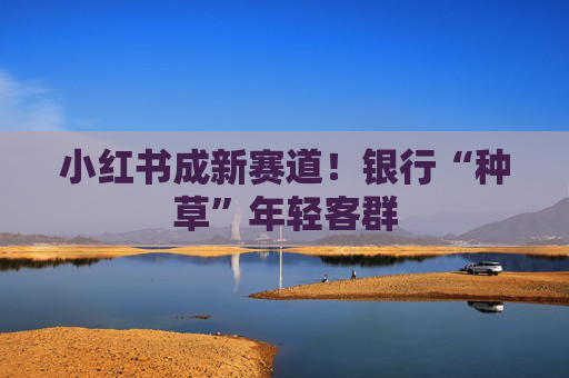 小红书成新赛道！银行“种草”年轻客群
