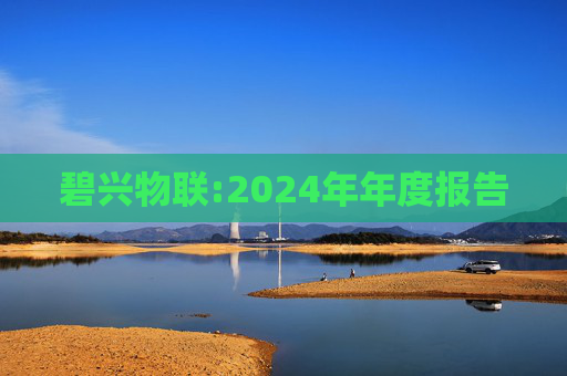 碧兴物联:2024年年度报告  第1张