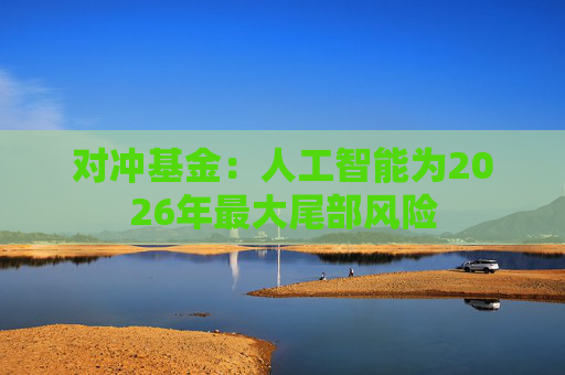 对冲基金：人工智能为2026年最大尾部风险