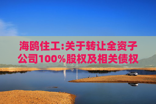 海鸥住工:关于转让全资子公司100%股权及相关债权暨债务豁免的公告