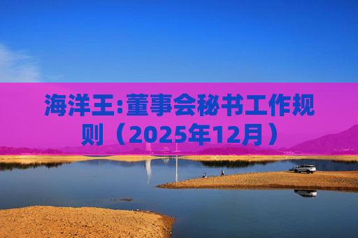 海洋王:董事会秘书工作规则（2025年12月）