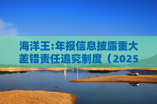 海洋王:年报信息披露重大差错责任追究制度（2025年12月）