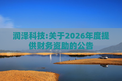 润泽科技:关于2026年度提供财务资助的公告