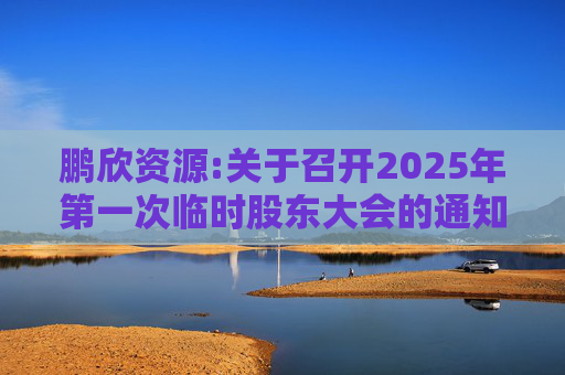 鹏欣资源:关于召开2025年第一次临时股东大会的通知