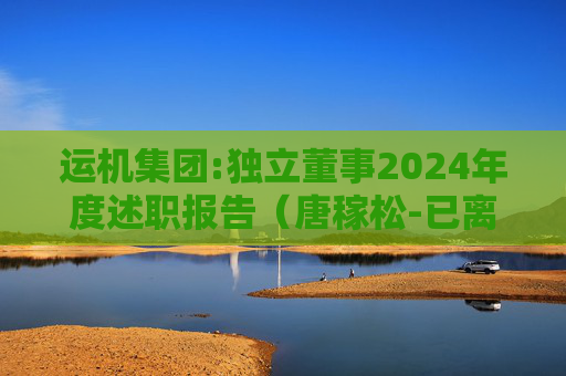 运机集团:独立董事2024年度述职报告(唐稼松-已离任)