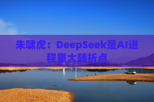 朱啸虎：DeepSeek是AI进程重大转折点