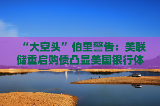 “大空头”伯里警告：美联储重启购债凸显美国银行体系脆弱