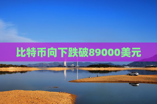 比特币向下跌破89000美元