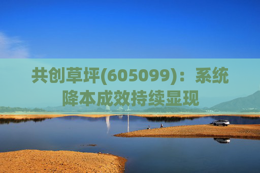共创草坪(605099):系统降本成效持续显现