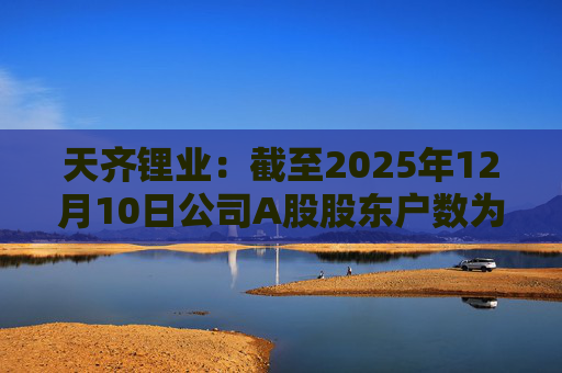 天齐锂业:截至2025年12月10日公司A股股东户数为307706户