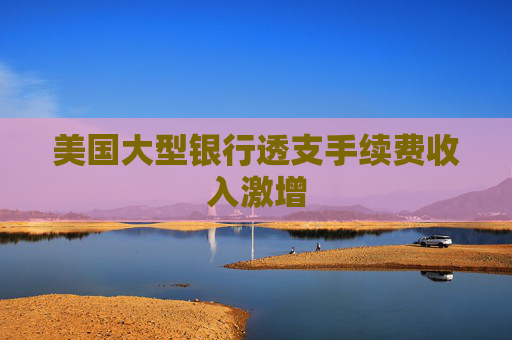 美国大型银行透支手续费收入激增