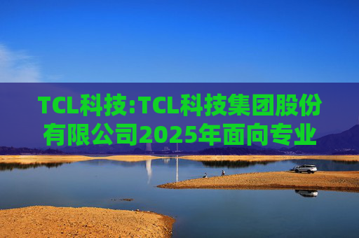 TCL科技:TCL科技集团股份有限公司2025年面向专业投资者公开发行科技创新公司债券（数字经济）（第一期）发行公告
