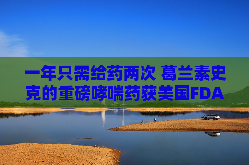 一年只需给药两次 葛兰素史克的重磅哮喘药获美国FDA批准