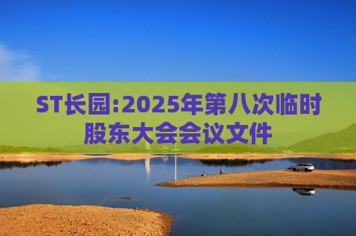ST长园:2025年第八次临时股东大会会议文件