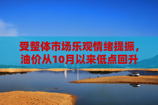 受整体市场乐观情绪提振，油价从10月以来低点回升
