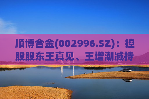 顺博合金(002996.SZ)：控股股东王真见、王增潮减持1371.88万股公司股份  第1张