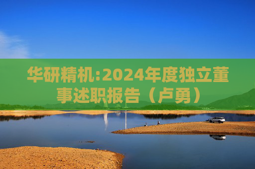 华研精机:2024年度独立董事述职报告（卢勇）  第1张