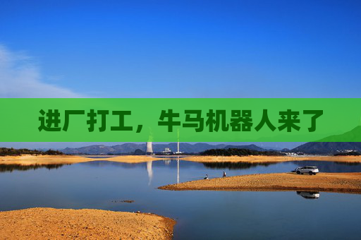 进厂打工，牛马机器人来了