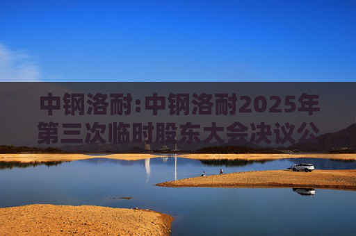 中钢洛耐:中钢洛耐2025年第三次临时股东大会决议公告