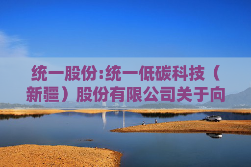 统一股份:统一低碳科技（新疆）股份有限公司关于向特定对象发行限售股上市流通公告  第1张