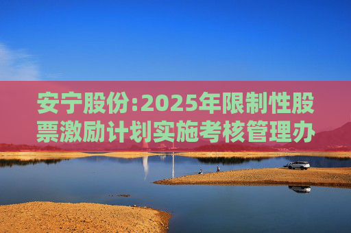 安宁股份:2025年限制性股票激励计划实施考核管理办法