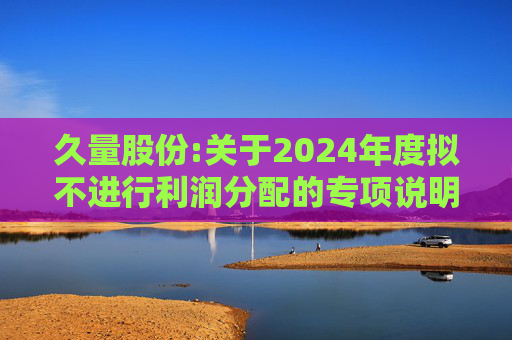 久量股份:关于2024年度拟不进行利润分配的专项说明