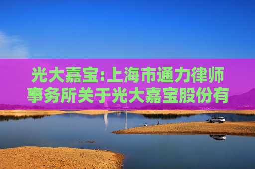 光大嘉宝:上海市通力律师事务所关于光大嘉宝股份有限公司2025年第九次临时股东会的法律意见书