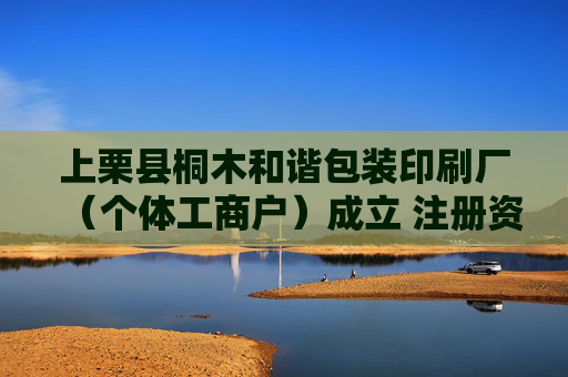 上栗县桐木和谐包装印刷厂（个体工商户）成立 注册资本80万人民币  第1张