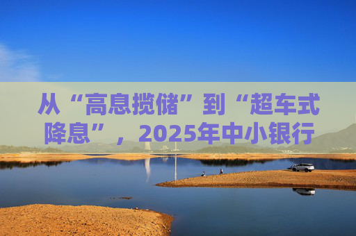 从“高息揽储”到“超车式降息”,2025年中小银行大幅下调存款利率|2025中国经济年报