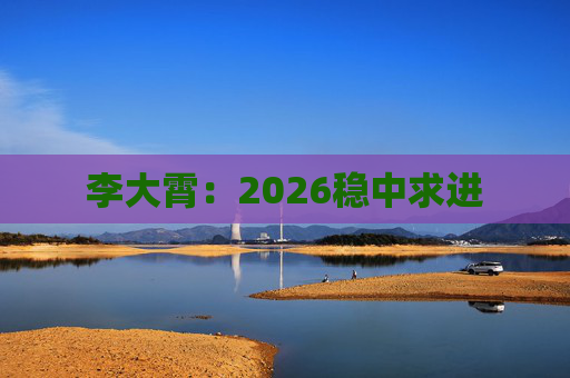 李大霄:2026稳中求进
