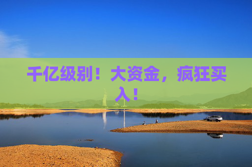 千亿级别!大资金,疯狂买入!