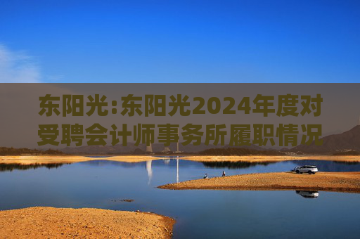 东阳光:东阳光2024年度对受聘会计师事务所履职情况的评估报告