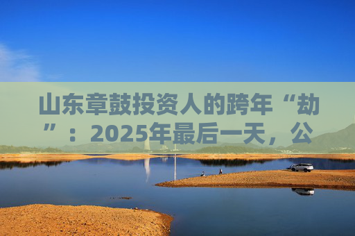 山东章鼓投资人的跨年“劫”：2025年最后一天，公司披露被中国证监会立案调查