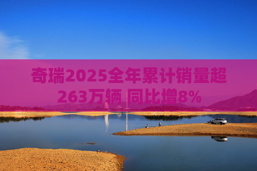 奇瑞2025全年累计销量超263万辆 同比增8%