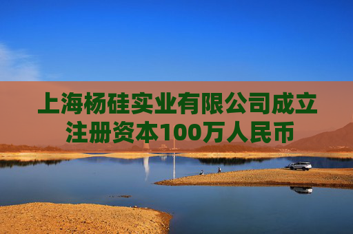 上海杨硅实业有限公司成立 注册资本100万人民币  第1张