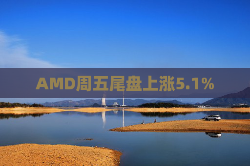 AMD周五尾盘上涨5.1%  第1张