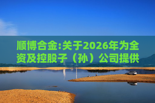 顺博合金:关于2026年为全资及控股子（孙）公司提供担保的公告