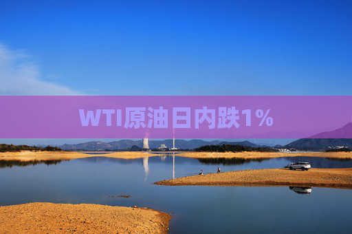 WTI原油日内跌1%