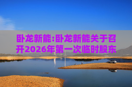 卧龙新能:卧龙新能关于召开2026年第一次临时股东会的通知