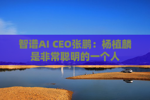 智谱AI CEO张鹏：杨植麟是非常聪明的一个人