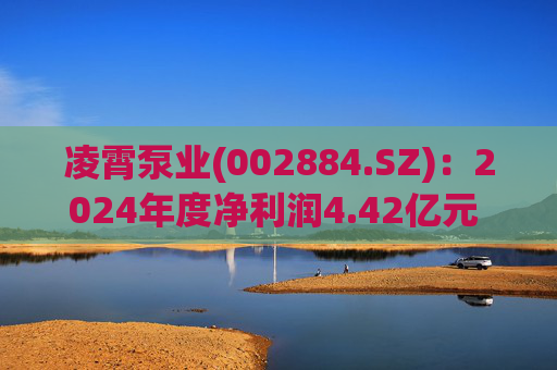 凌霄泵业(002884.SZ):2024年度净利润4.42亿元 拟10派10元