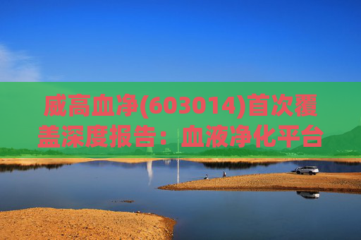 威高血净(603014)首次覆盖深度报告：血液净化平台型龙头 外延突破成长天花板