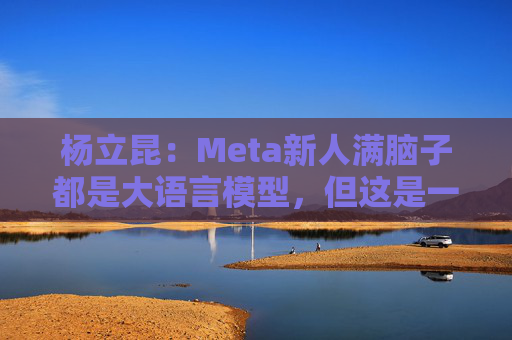 杨立昆：Meta新人满脑子都是大语言模型，但这是一条死胡同